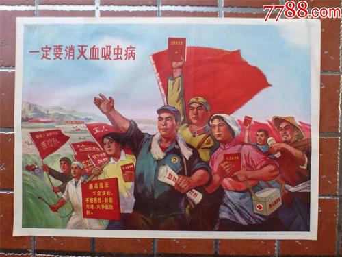 深圳在哪考国际驾照怎么申请